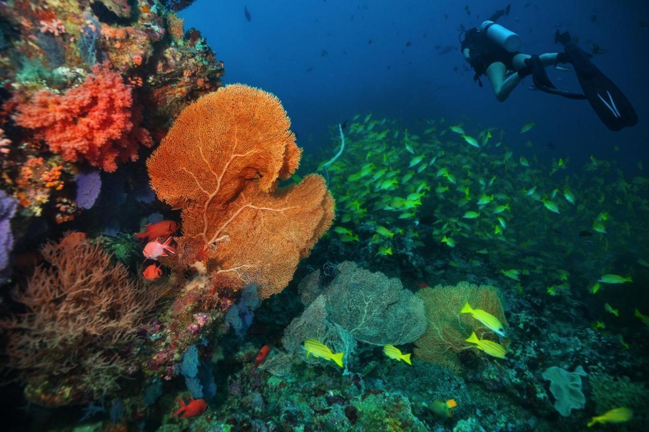 Aquzz Hotel & Spa - Maldives Maafushi Ngoại thất bức ảnh